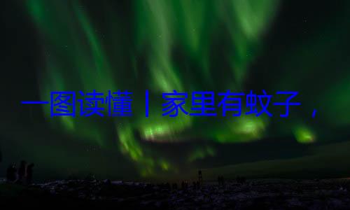 ，这样做速战速决不挨家里有蚊子一图读懂丨咬