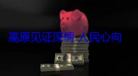 高原见证深情 人民心向领袖